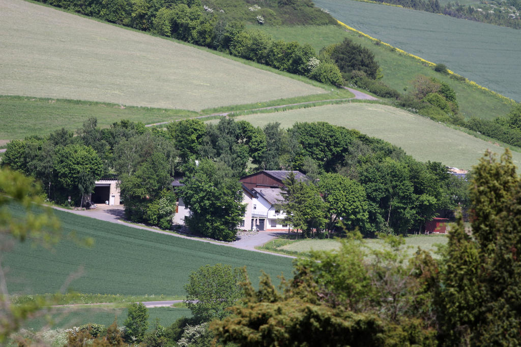 Ferienwohnung Birkenhof Volkesfeld Ruang foto